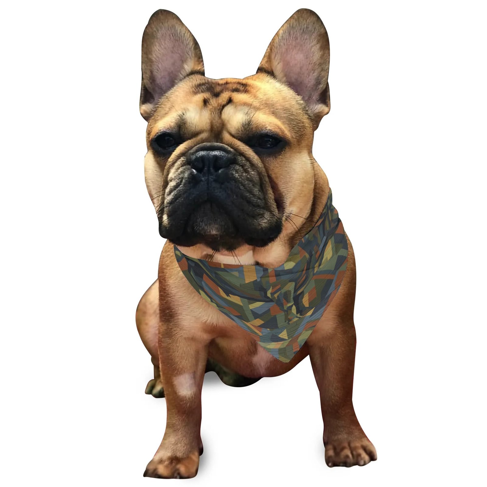 Pet Bandana | Adjustable Dog & Cat Triangle Bib | Zebellz Earthbound Taurus Camo Collection | Intuitive "Hidden Bull" Animal Scarf - Image 4